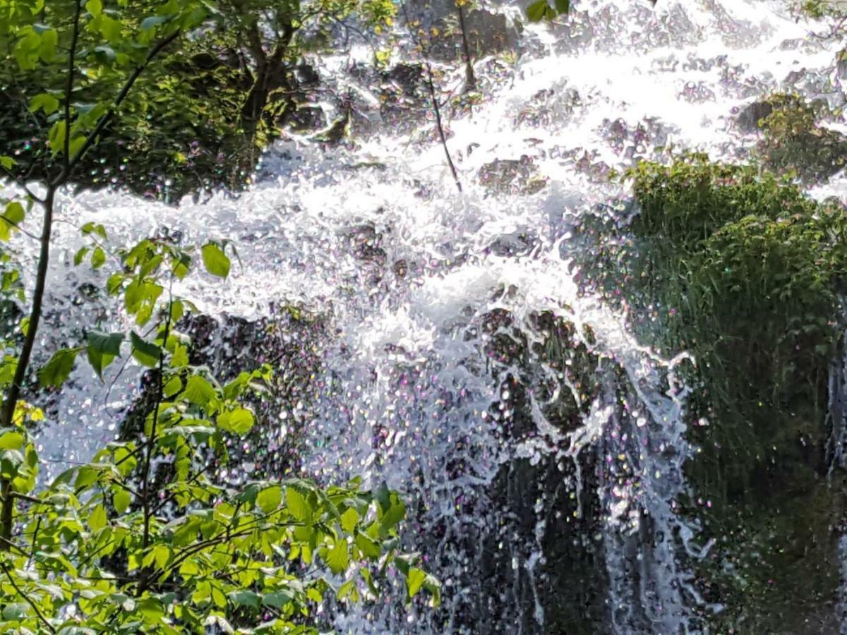 Haus Eisele Lägenhet Bad Urach Exteriör bild